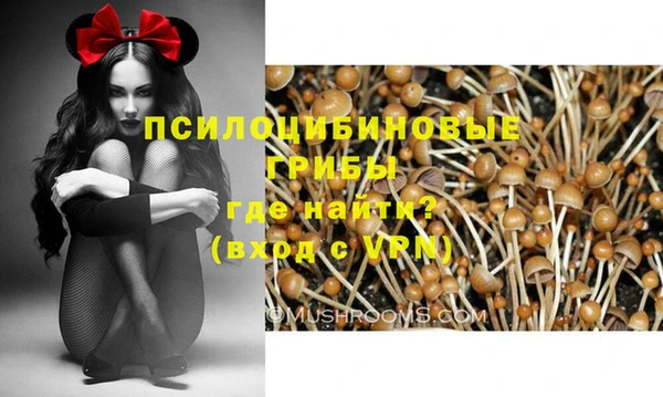 a pvp Надым