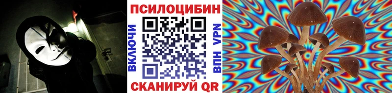 OMG как войти  Лукоянов  Галлюциногенные грибы MAGIC MUSHROOMS 